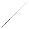 WSB Aquatalia Boat Rod